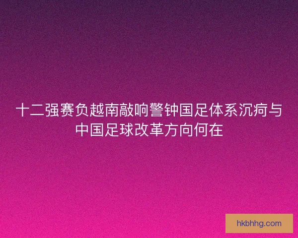 十二强赛负越南敲响警钟国足体系沉疴与中国足球改革方向何在